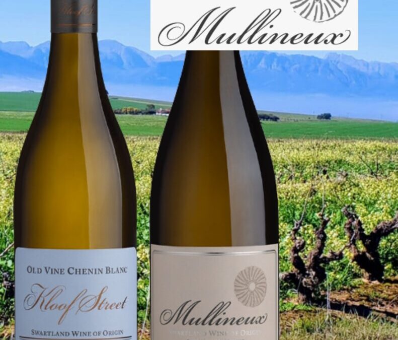 Découvrez les vins de Chenin blanc de la maison Mullineux d’Afrique du Sud!